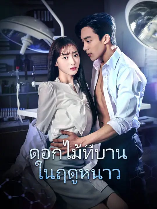 ดอกไม้ที่บานในฤดูหนาว